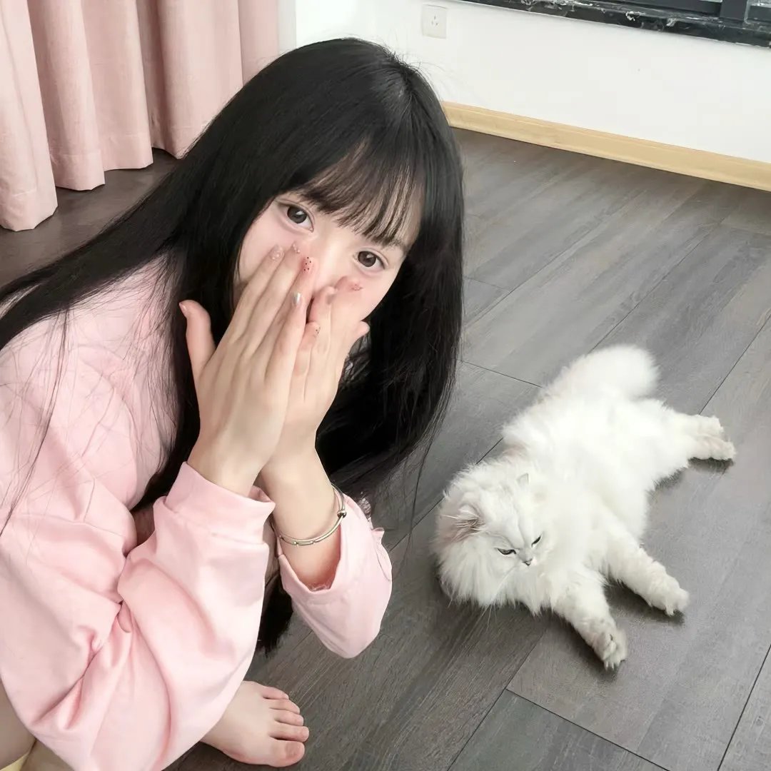 捕风追影